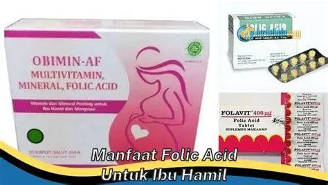 Pentingnya Suplemen Asam Folat Ibu hamil mengonsumsi suplemen asam folat