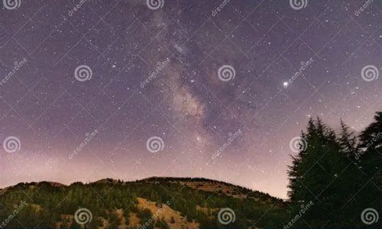 Langit malam di atas pohon cedar Lebanon
