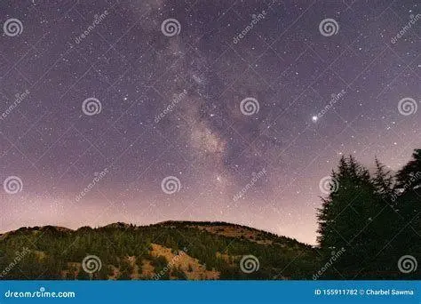 Inspirasi Alam Kahlil Gibran Langit malam di atas pohon cedar Lebanon