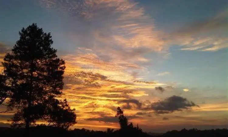 Ilustrasi perasaan rindu yang mendalam