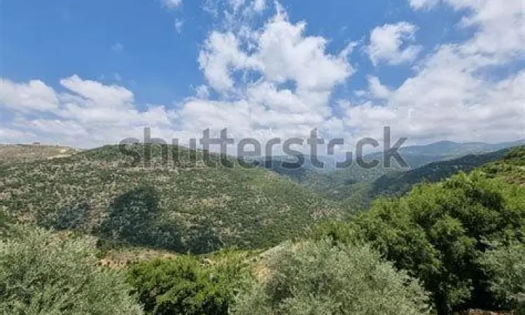 Pemandangan alam Libanon yang menginspirasi Gibran