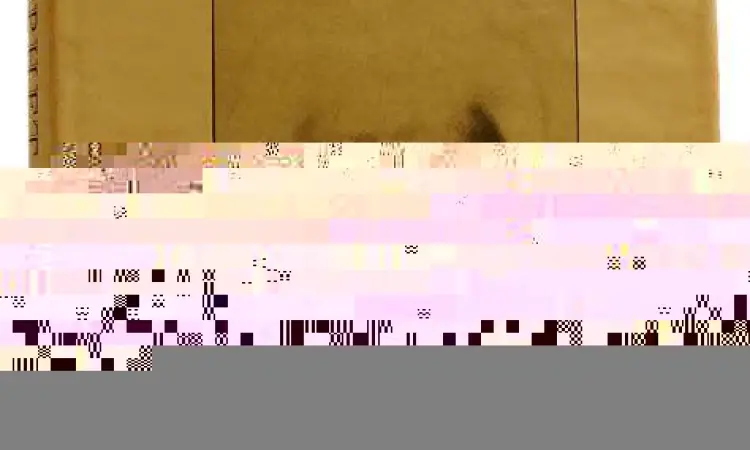 Buku Sang Nabi karya Kahlil Gibran