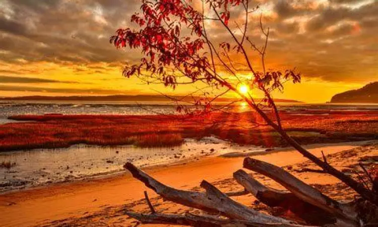 Simbolisme Cinta Gibran Keindahan alam sebagai simbol cinta Kahlil Gibran