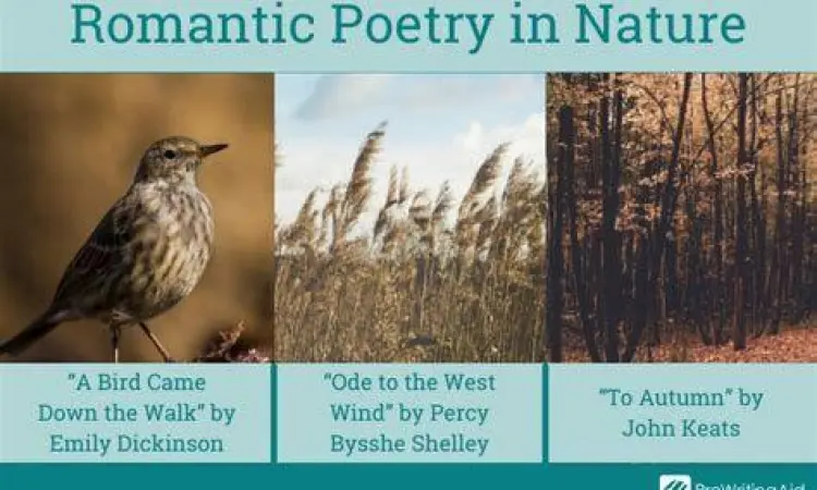 Alam dan Puisi Metafora alam dalam puisi cinta