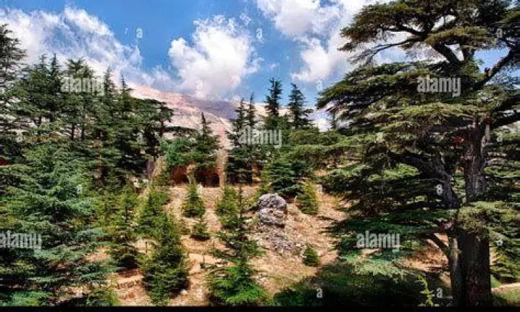 Tanah Kelahiran Kahlil Gibran Pegunungan di Bsharri Lebanon tempat lahir Gibran