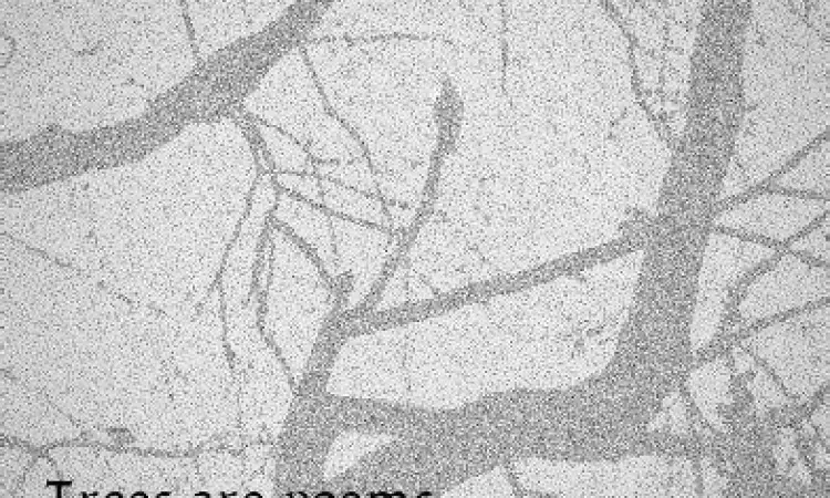 Ilustrasi alam dalam puisi Kahlil Gibran