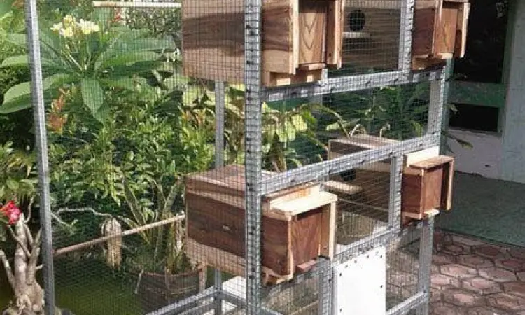 Kemanusiaan Universal Konsep kesatuan kemanusiaan universal Gibran