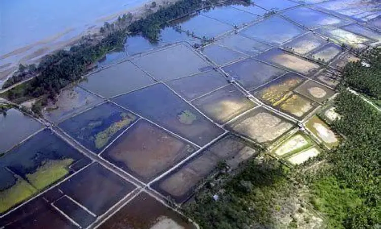 Akuakultur Digital Indonesia