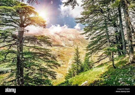 Tanah Kelahiran Gibran Pemandangan pegunungan Lebanon tempat kelahiran Gibran