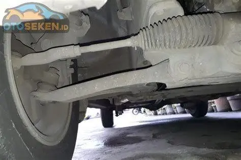 Simbolisme Lebanon Pohon Cedar Lebanon sebagai simbol keteguhan