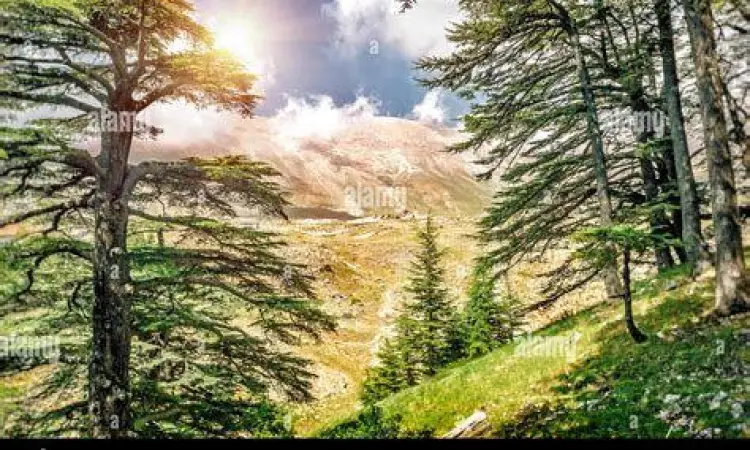 Pemandangan alam Lebanon yang menginspirasi Kahlil Gibran