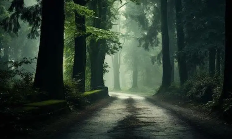 Jalan setapak berkabut melambangkan ketidakpastian