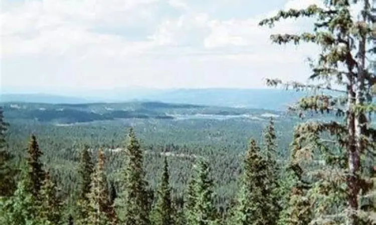 Inspirasi Alam Kahlil Gibran Keindahan alam yang menginspirasi puisi Kahlil Gibran