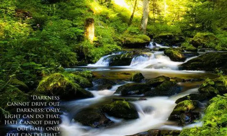 Pemandangan alam yang menenangkan sesuai filosofi Gibran